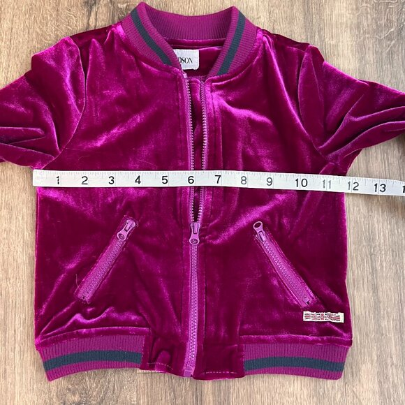Hudson Pink Velour Infant Girl Track Jacket Full-Zip Baby Size 24M - Picture 6 of 10